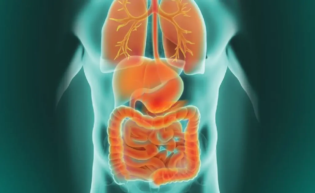 Neuroendokriner Tumor Müdigkeit